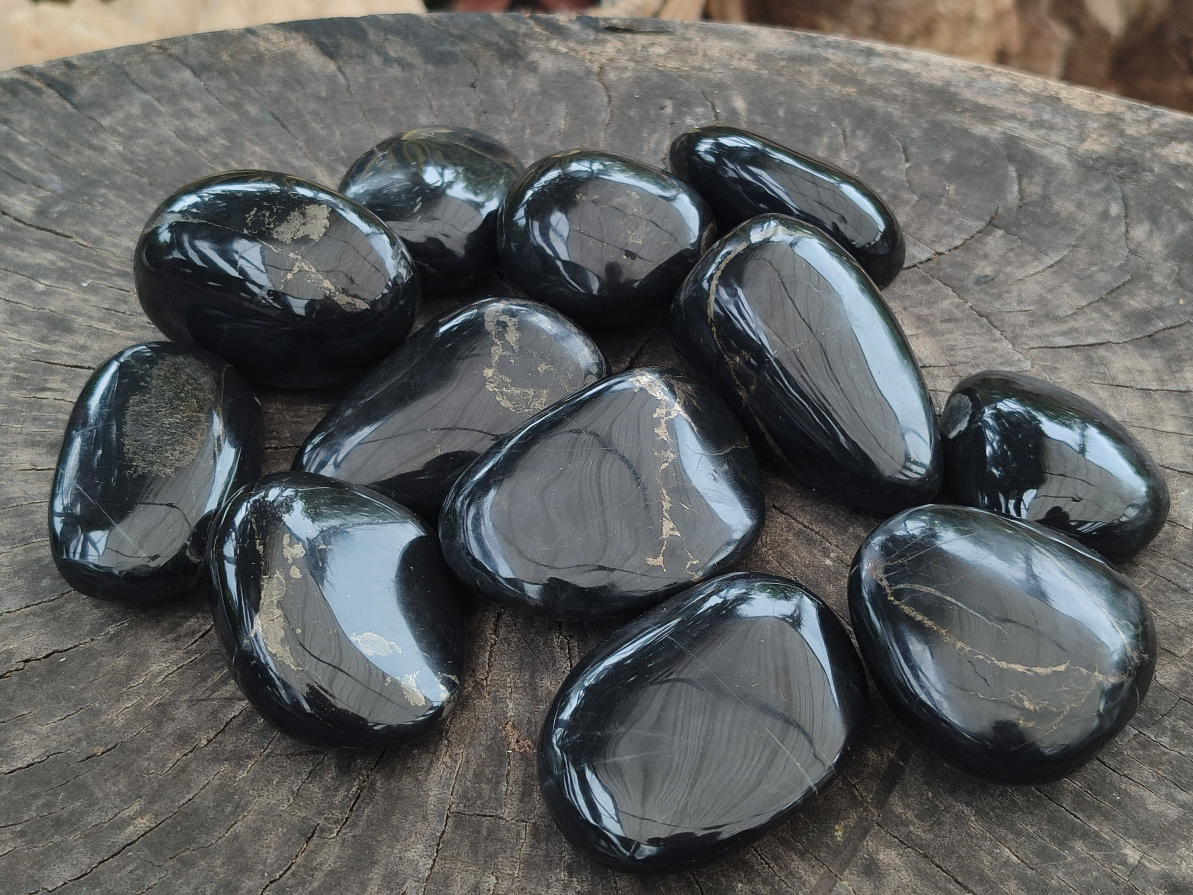 Polished Pharaoh Stone Palm Stones x 12 From Zimbabwe - Toprock Gemstones and Minerals 
