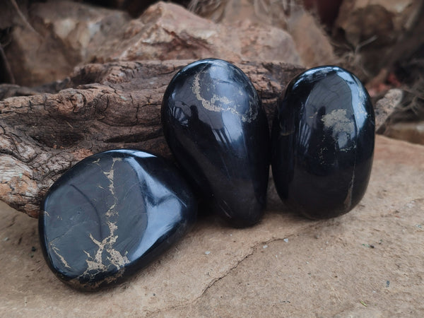 Polished Pharaoh Stone Palm Stones x 12 From Zimbabwe - Toprock Gemstones and Minerals 
