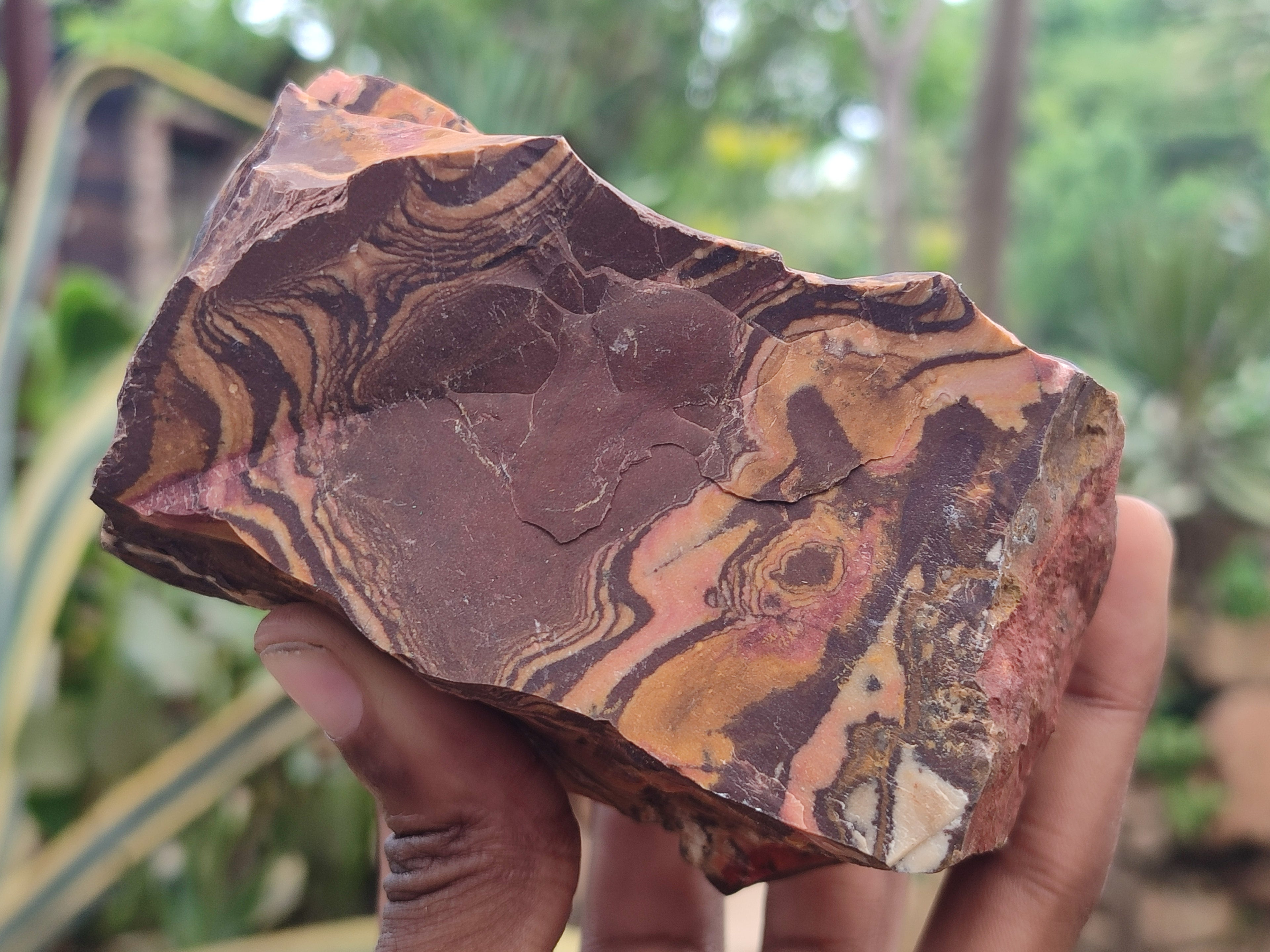 Natural Nguni Jasper Cobbed Specimens x 6 From Prieska, South Africa - Toprock Gemstones and Minerals 