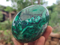 Polished Flower Banded Malachite Eggs x 2 From Congo - Toprock Gemstones and Minerals 