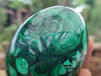 Polished Flower Banded Malachite Eggs x 2 From Congo - Toprock Gemstones and Minerals 