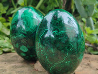 Polished Flower Banded Malachite Eggs x 2 From Congo - Toprock Gemstones and Minerals 