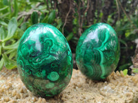 Polished Flower Banded Malachite Eggs x 2 From Congo - Toprock Gemstones and Minerals 