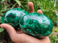 Polished Flower Banded Malachite Eggs x 2 From Congo - Toprock Gemstones and Minerals 