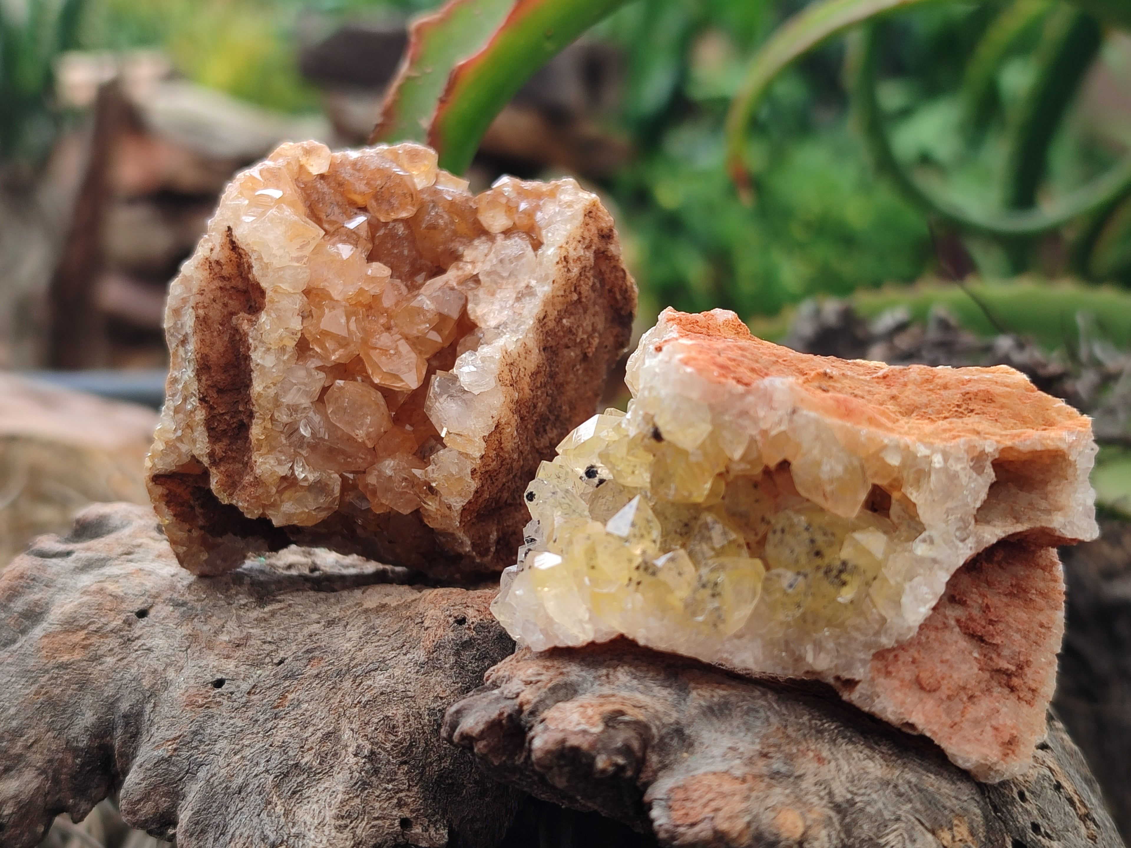 Natural Limonite Quartz Clusters x 24 From Solwezi, Zambia - Toprock Gemstones and Minerals 
