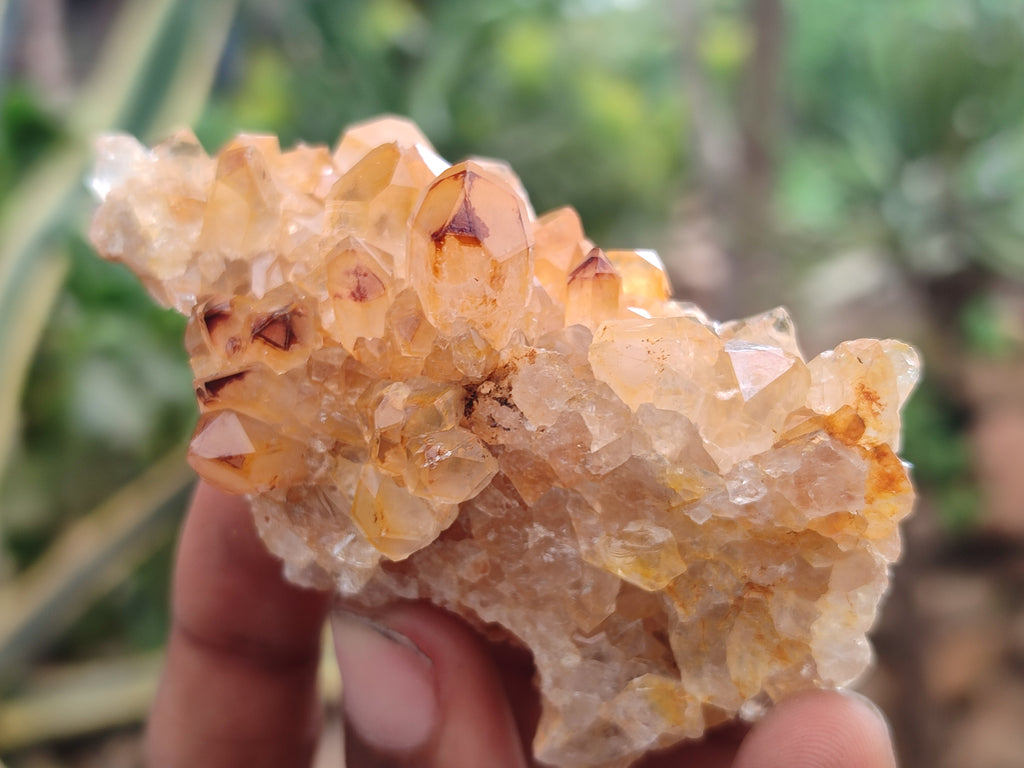 Natural Limonite Quartz Clusters x 24 From Solwezi, Zambia - Toprock Gemstones and Minerals 