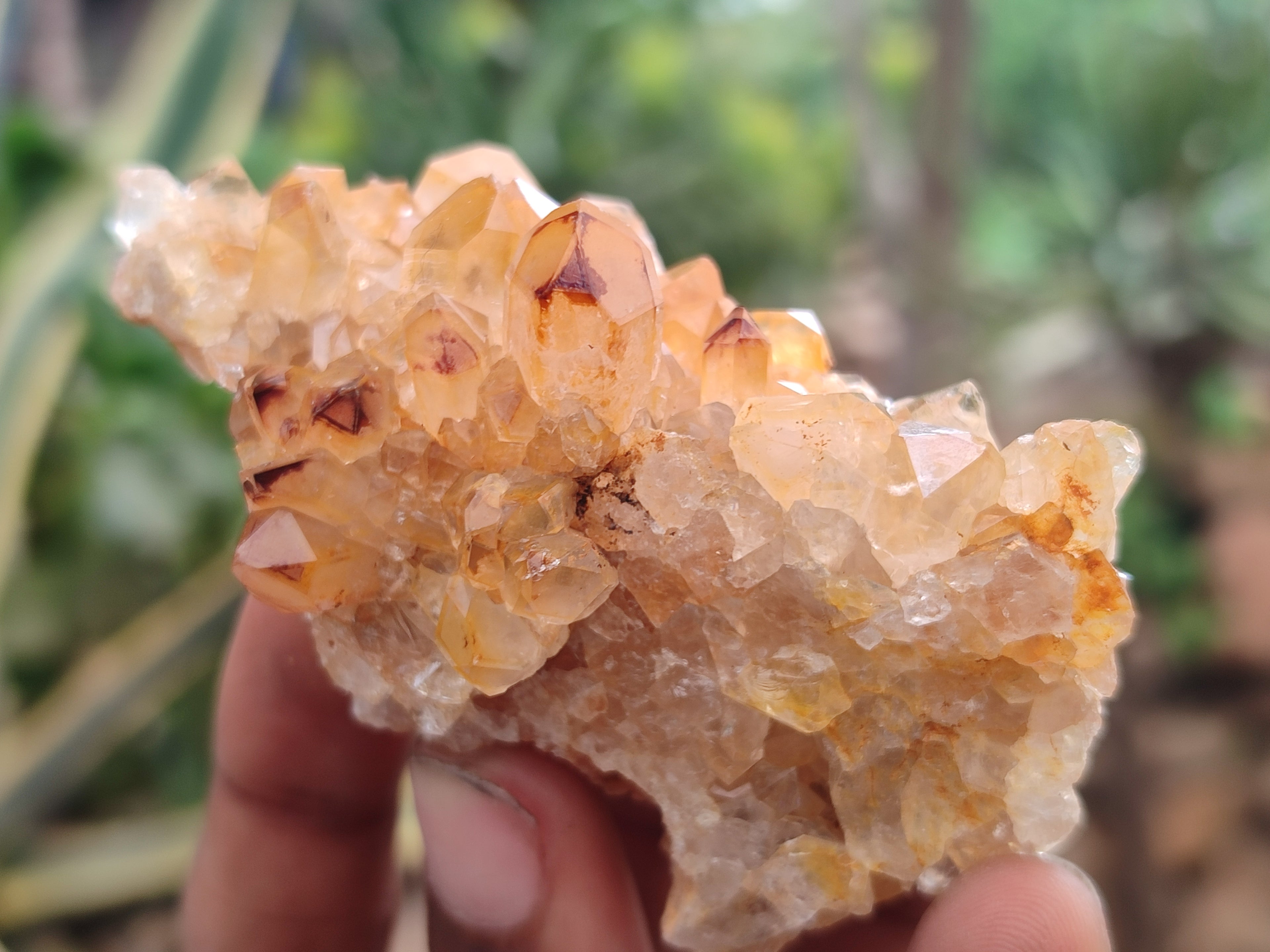 Natural Limonite Quartz Clusters x 24 From Solwezi, Zambia - Toprock Gemstones and Minerals 