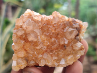 Natural Limonite Quartz Clusters x 24 From Solwezi, Zambia - Toprock Gemstones and Minerals 