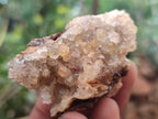 Natural Limonite Quartz Clusters x 24 From Solwezi, Zambia - Toprock Gemstones and Minerals 