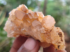 Natural Limonite Quartz Clusters x 24 From Solwezi, Zambia - Toprock Gemstones and Minerals 