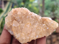 Natural Limonite Quartz Clusters x 24 From Solwezi, Zambia - Toprock Gemstones and Minerals 