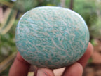 Polished Amazonite Palm Stones x 24 from Zimbabwe - Toprock Gemstones and Minerals 