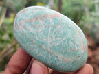 Polished Amazonite Palm Stones x 24 from Zimbabwe - Toprock Gemstones and Minerals 