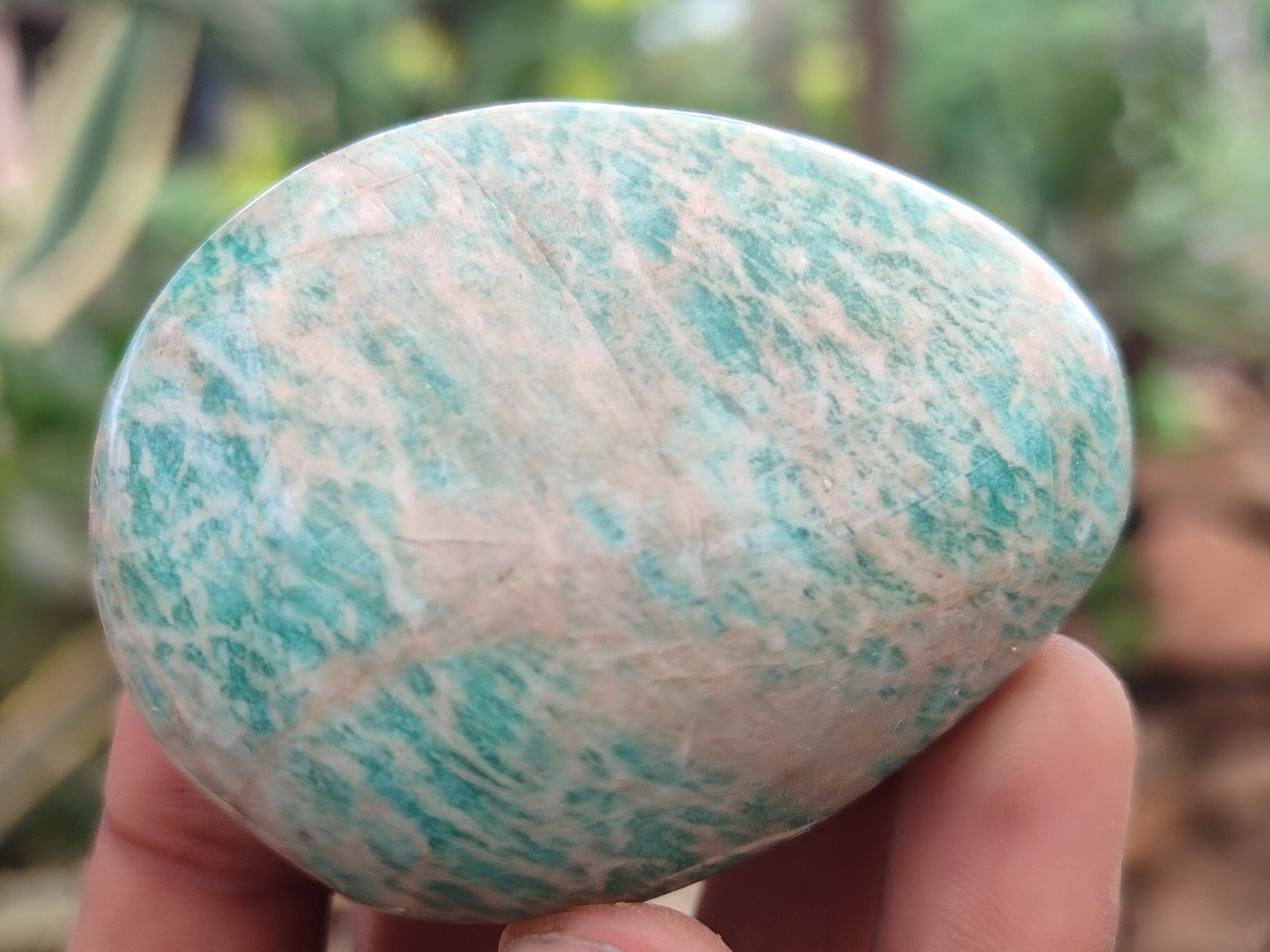 Polished Amazonite Palm Stones x 24 from Zimbabwe - Toprock Gemstones and Minerals 