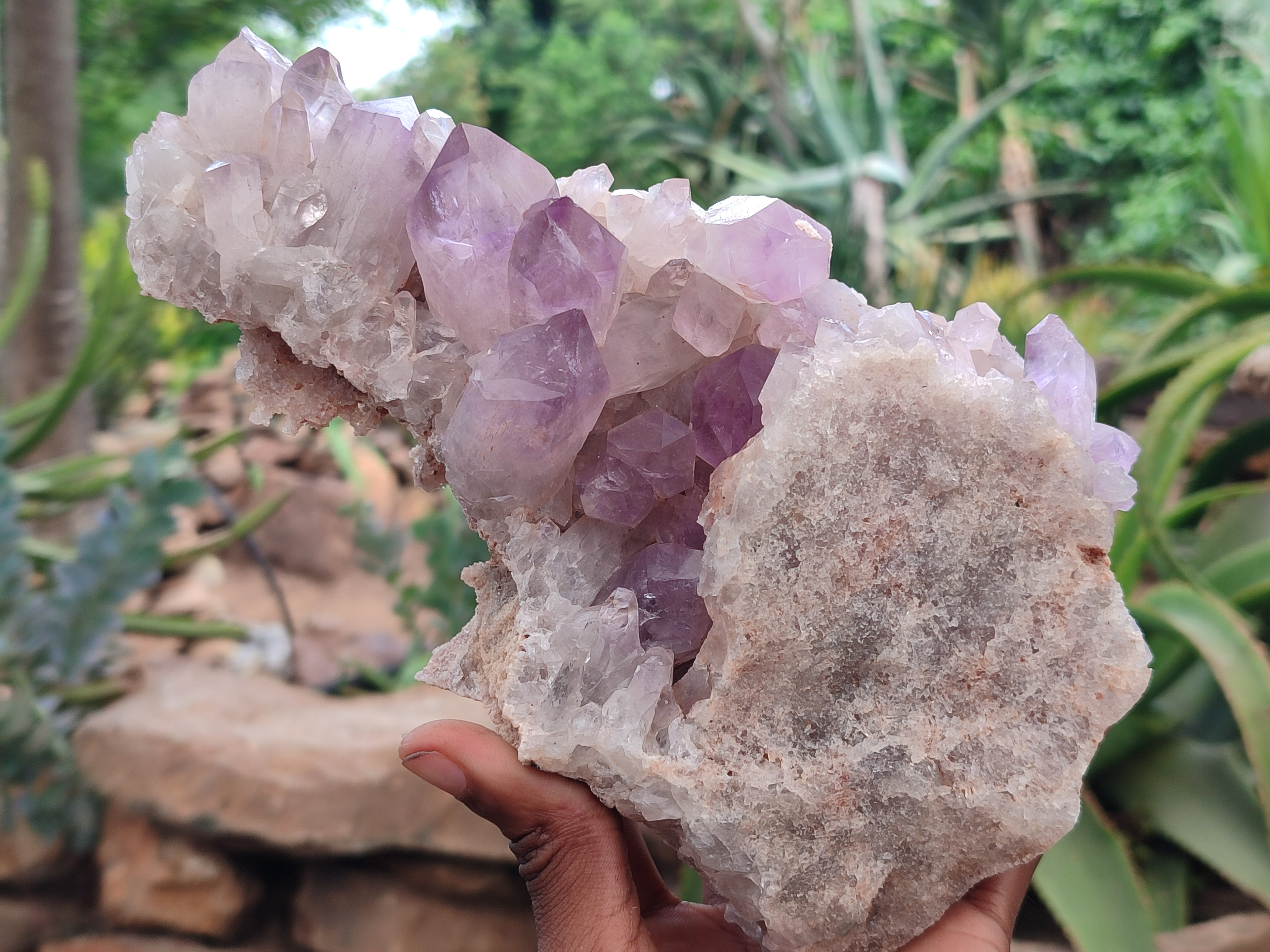 Natural Jacaranda Amethyst Quartz Clusters x 2 from Mumbwa, Zambia - Toprock Gemstones and Minerals 