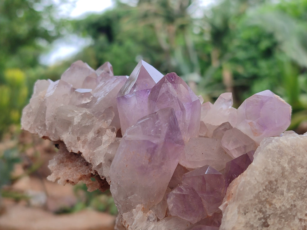Natural Jacaranda Amethyst Quartz Clusters x 2 from Mumbwa, Zambia - Toprock Gemstones and Minerals 