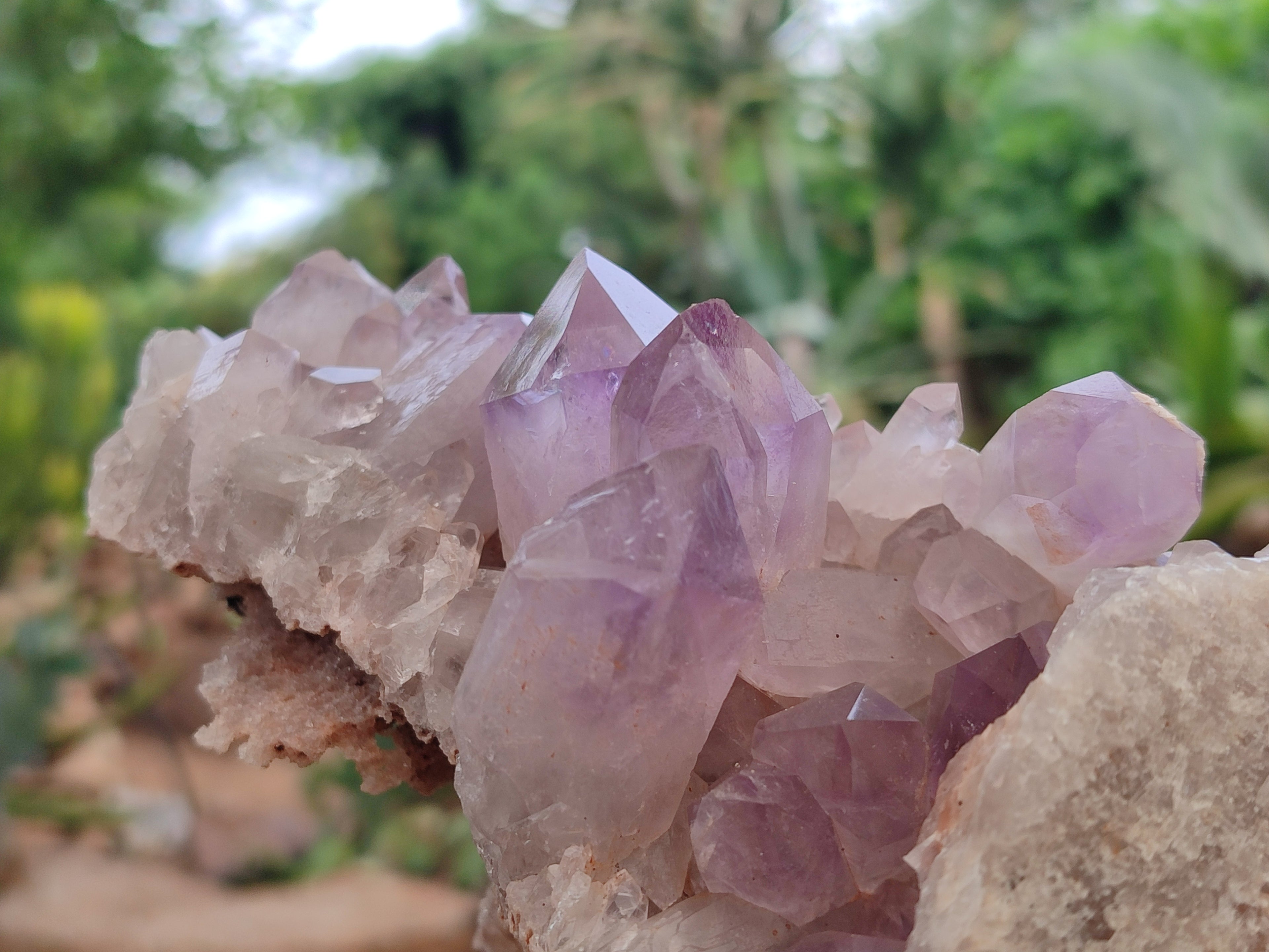 Natural Jacaranda Amethyst Quartz Clusters x 2 from Mumbwa, Zambia - Toprock Gemstones and Minerals 