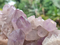 Natural Jacaranda Amethyst Quartz Clusters x 2 from Mumbwa, Zambia
