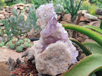 Natural Jacaranda Amethyst Quartz Clusters x 2 from Mumbwa, Zambia - Toprock Gemstones and Minerals 