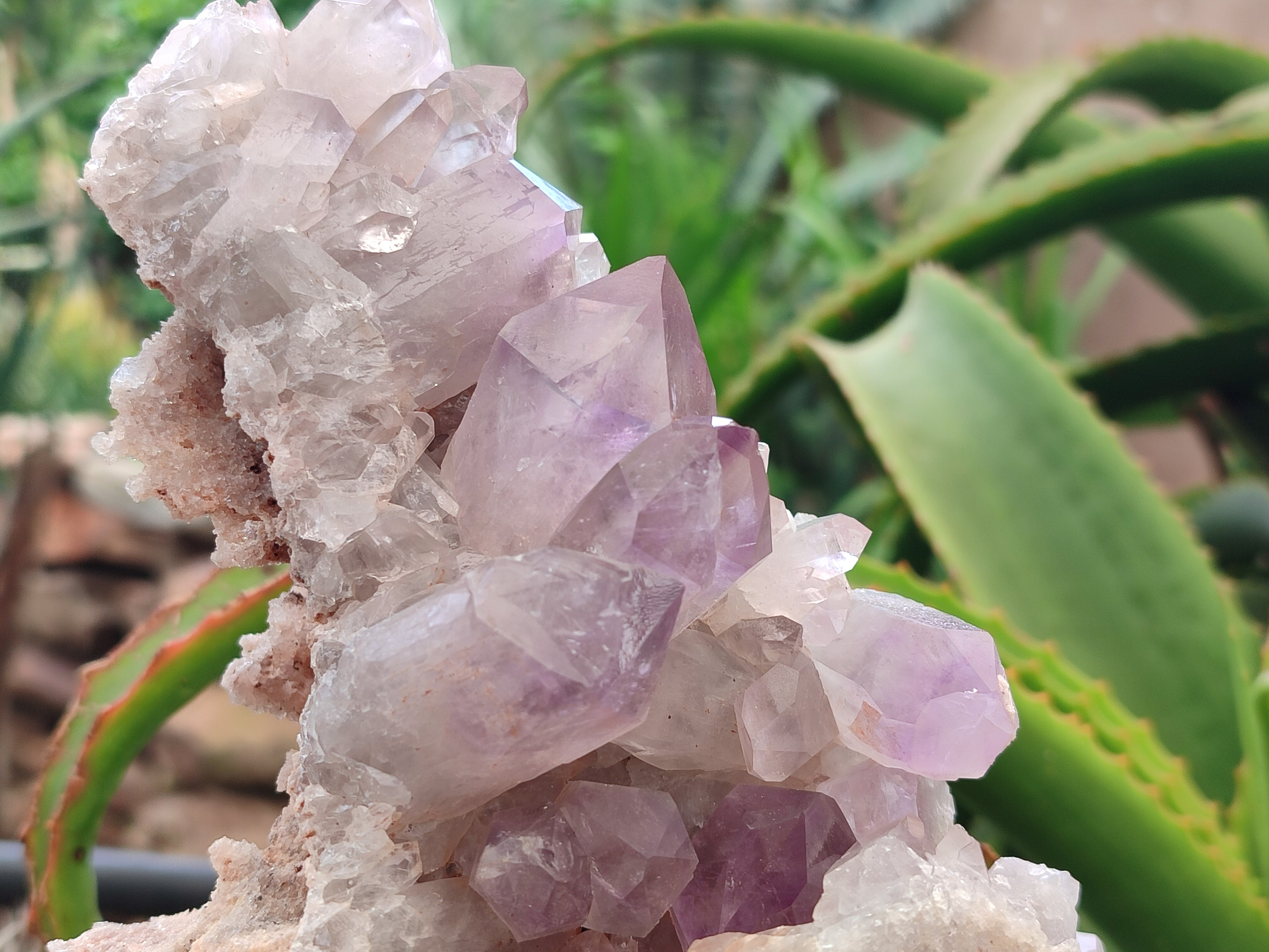 Natural Jacaranda Amethyst Quartz Clusters x 2 from Mumbwa, Zambia - Toprock Gemstones and Minerals 