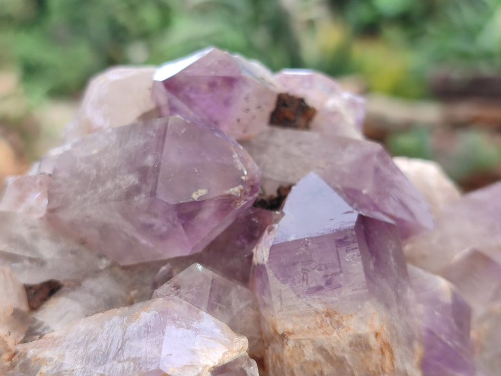 Natural Jacaranda Amethyst Quartz Clusters x 2 from Mumbwa, Zambia - Toprock Gemstones and Minerals 
