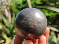 Polished Pharaoh Stone Spheres x 3 From Zimbabwe - Toprock Gemstones and Minerals 