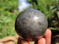 Polished Pharaoh Stone Spheres x 3 From Zimbabwe - Toprock Gemstones and Minerals 