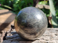Polished Pharaoh Stone Spheres x 3 From Zimbabwe - Toprock Gemstones and Minerals 