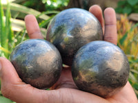 Polished Pharaoh Stone Spheres x 3 From Zimbabwe - Toprock Gemstones and Minerals 