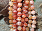 Polished Red Banded Sardonyx Tibetan Agate Bead Necklace - Sold Per Item- From Tibet - Toprock Gemstones and Minerals 