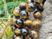 Polished Blue and Gold Tigers Eye Bead Necklaces - Sold Per Item - From South Africa