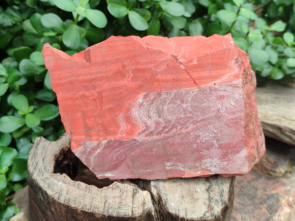 Natural Red Jasper Specimens x 2 From South Africa - Toprock Gemstones and Minerals 
