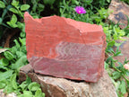 Natural Red Jasper Specimens x 2 From South Africa - Toprock Gemstones and Minerals 