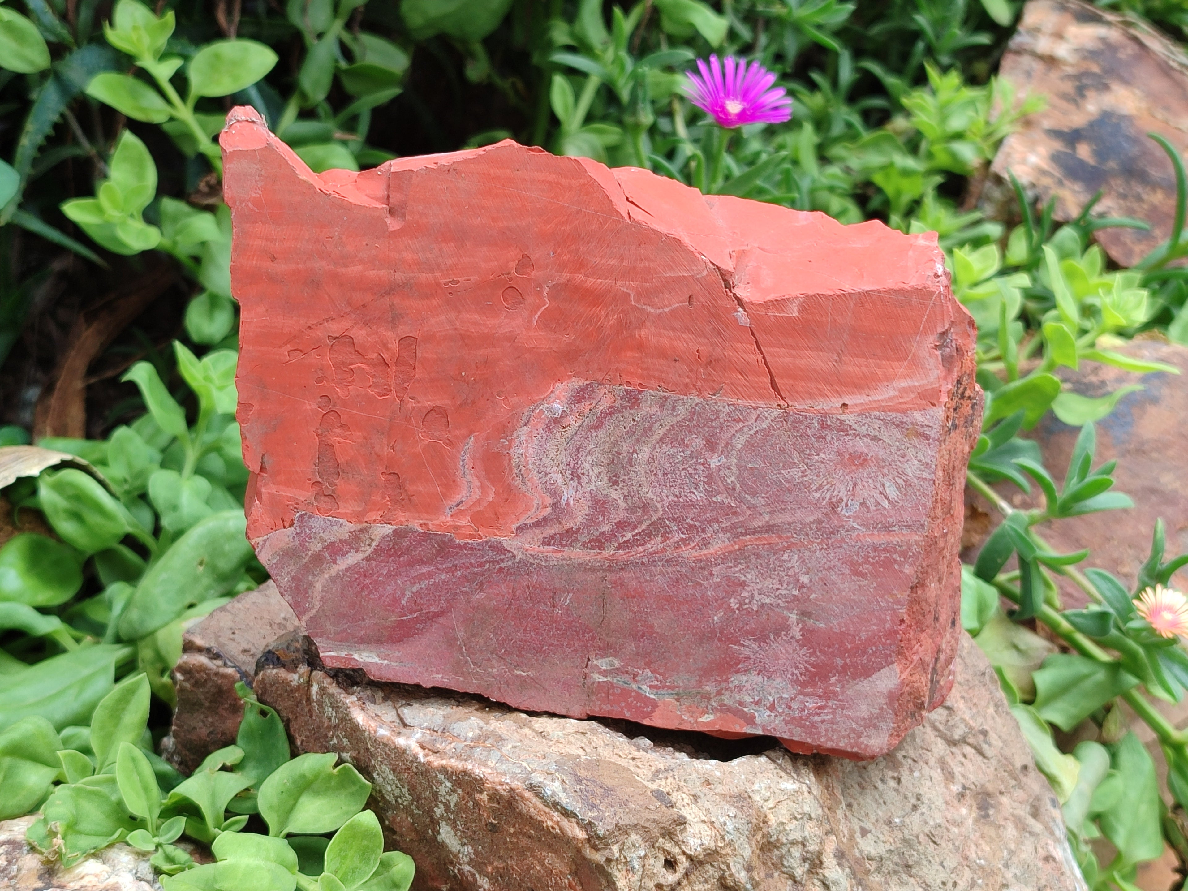 Natural Red Jasper Specimens x 2 From South Africa - Toprock Gemstones and Minerals 