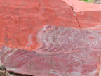 Natural Red Jasper Specimens x 2 From South Africa - Toprock Gemstones and Minerals 