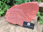 Natural Red Jasper Specimens x 2 From South Africa - Toprock Gemstones and Minerals 