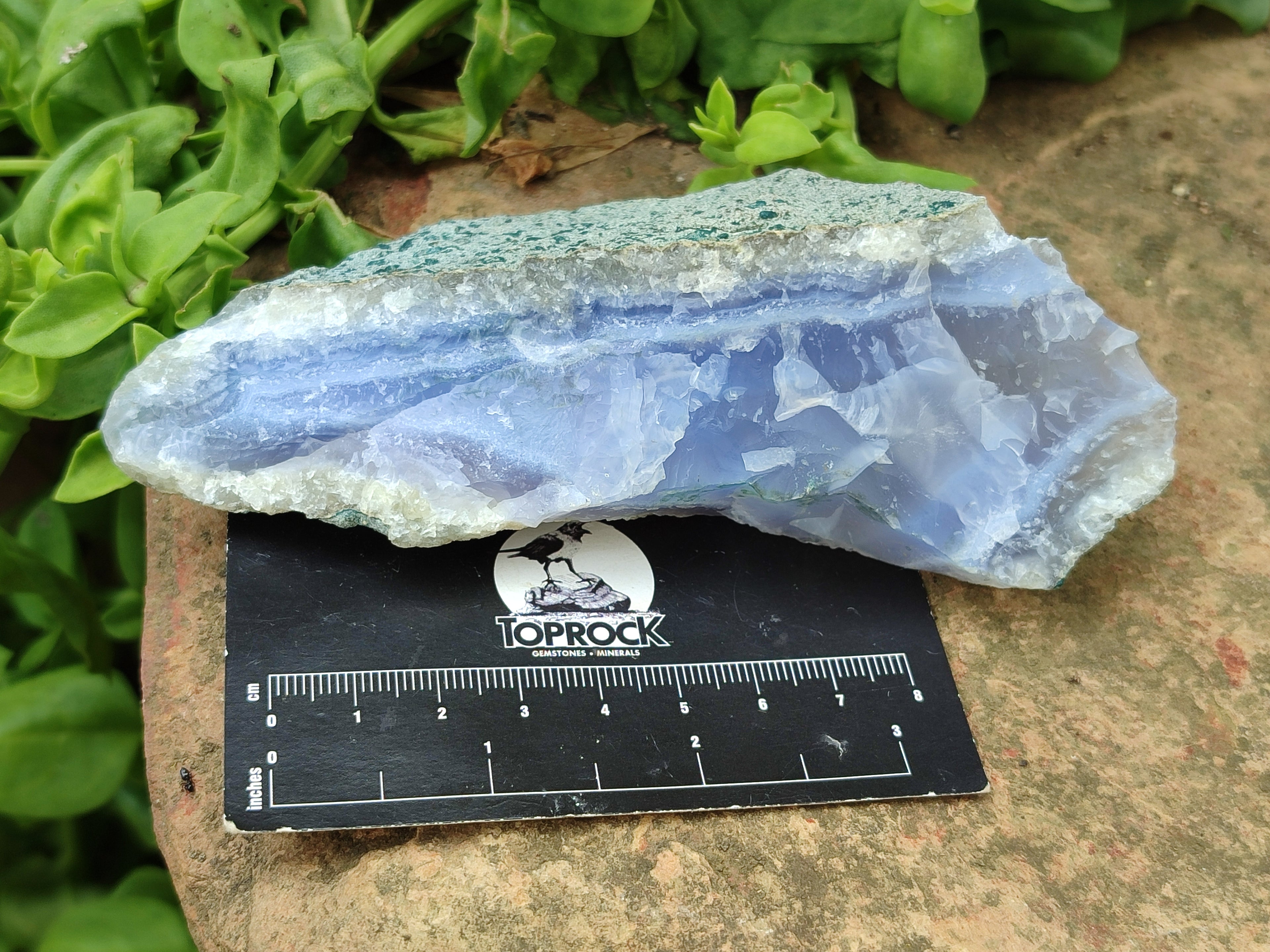 Natural Blue Lace Agate Geode Specimens x 12 From Malawi - Toprock Gemstones and Minerals 