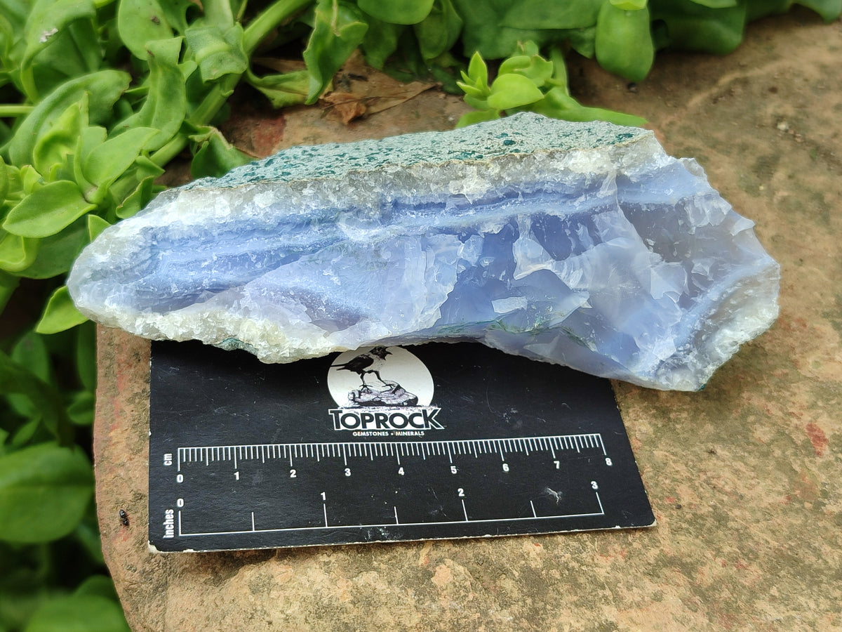 Natural Blue Lace Agate Geode Specimens x 12 From Malawi - Toprock Gemstones and Minerals 