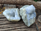 Natural Blue Lace Agate Geode Specimens x 12 From Malawi - Toprock Gemstones and Minerals 