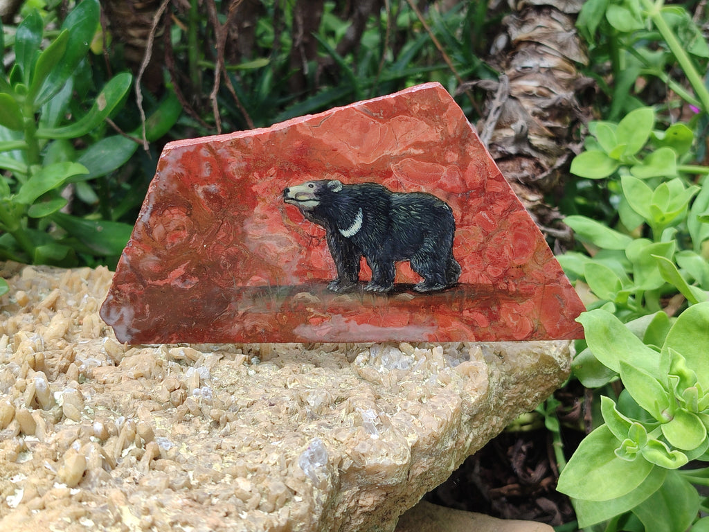 Hand Made Bear Decoupage Stone Slabs x 6 From Southern Africa - Toprock Gemstones and Minerals 