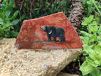 Hand Made Bear Decoupage Stone Slabs x 6 From Southern Africa - Toprock Gemstones and Minerals 