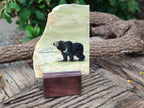Hand Made Bear Decoupage Stone Slabs x 6 From Southern Africa - Toprock Gemstones and Minerals 