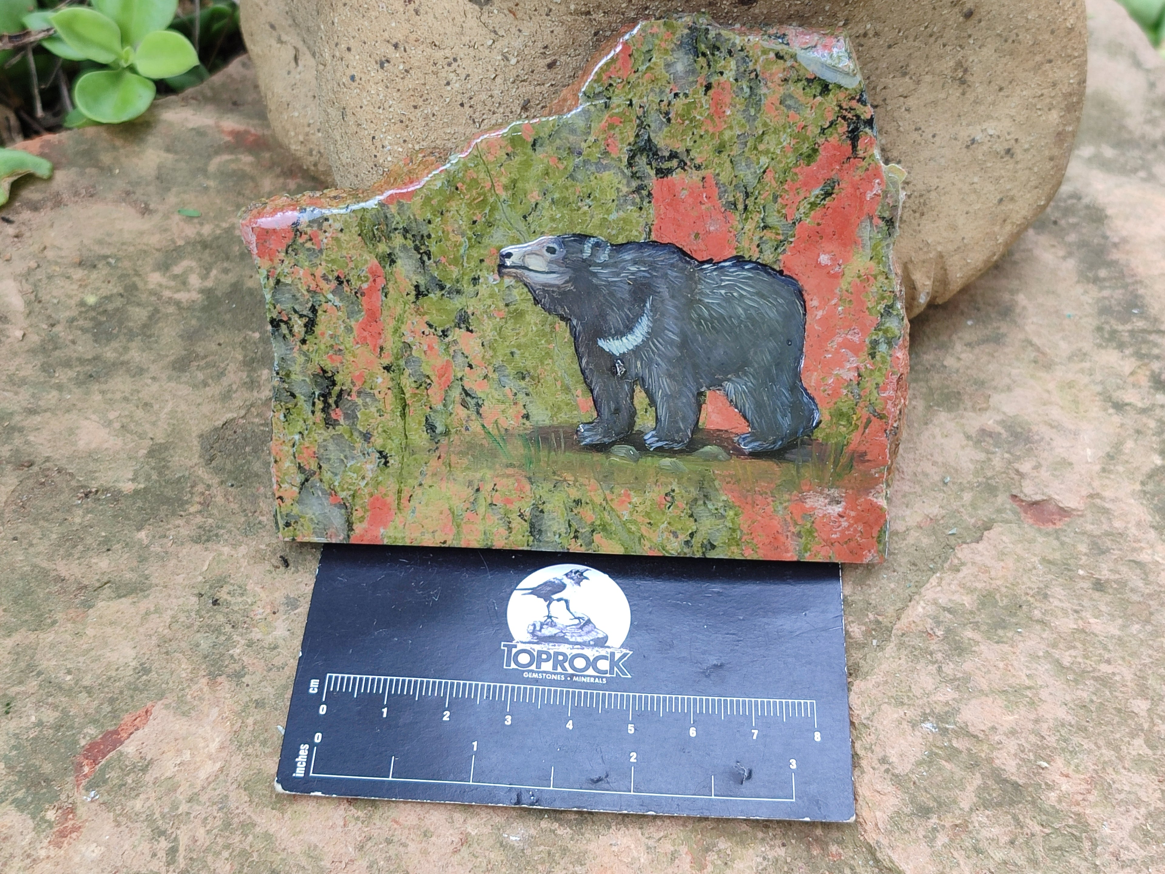 Hand Made Bear Decoupage Stone Slabs x 6 From Southern Africa - Toprock Gemstones and Minerals 