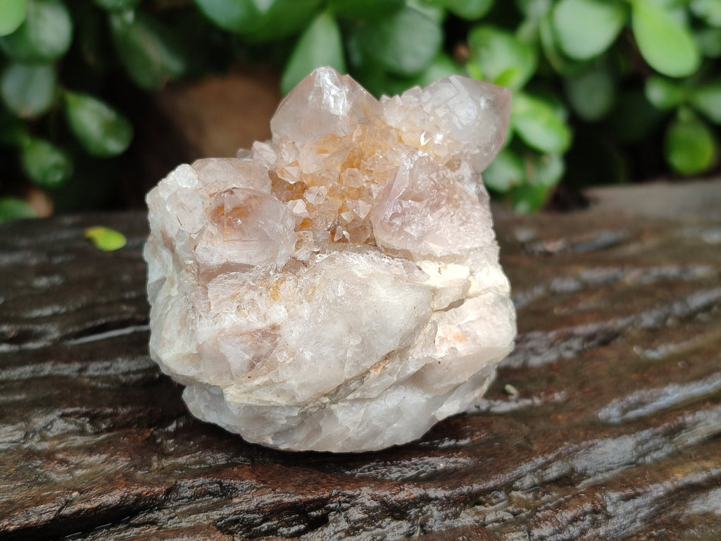 Natural Spirit Quartz Clusters x 12 From Boekenhouthoek, South Africa - Toprock Gemstones and Minerals 