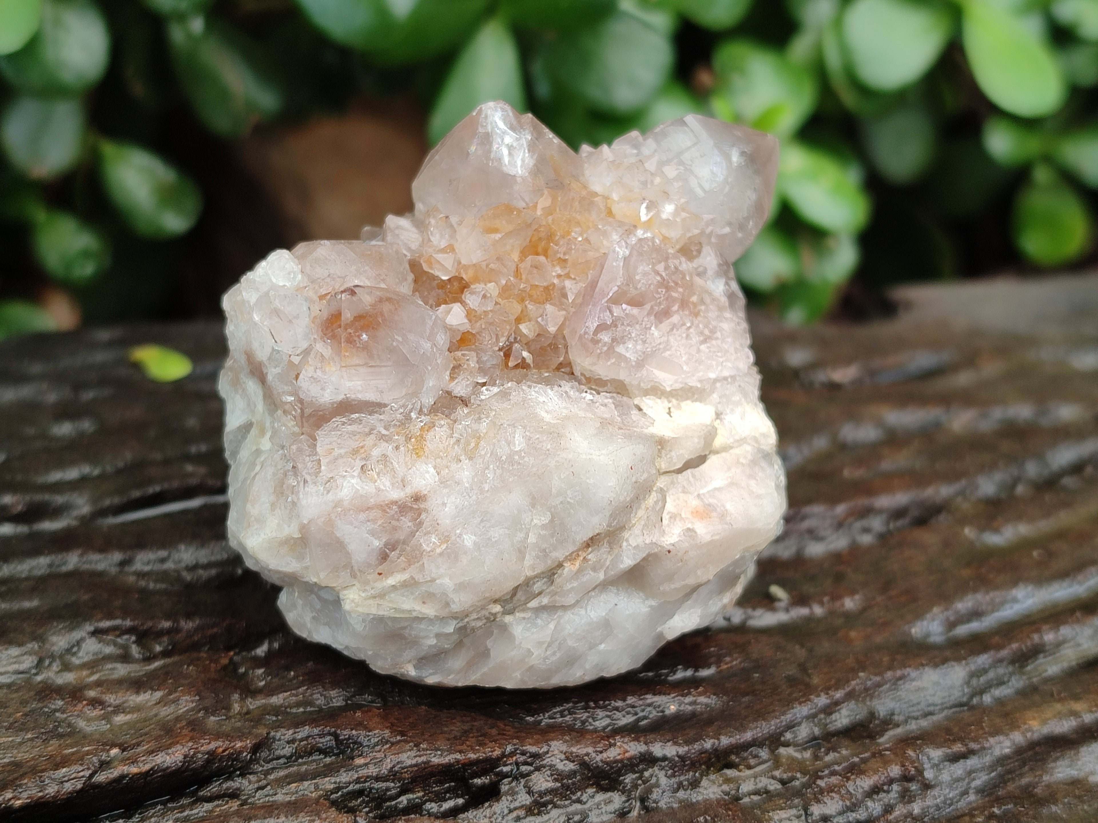 Natural Spirit Quartz Clusters x 12 From Boekenhouthoek, South Africa - Toprock Gemstones and Minerals 