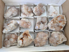 Natural Spirit Quartz Clusters x 12 From Boekenhouthoek, South Africa - Toprock Gemstones and Minerals 