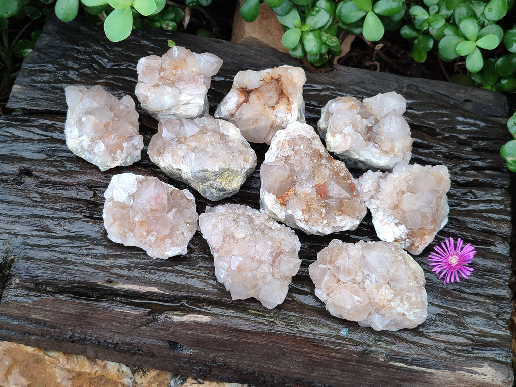 Natural Spirit Quartz Clusters x 12 From Boekenhouthoek, South Africa - Toprock Gemstones and Minerals 