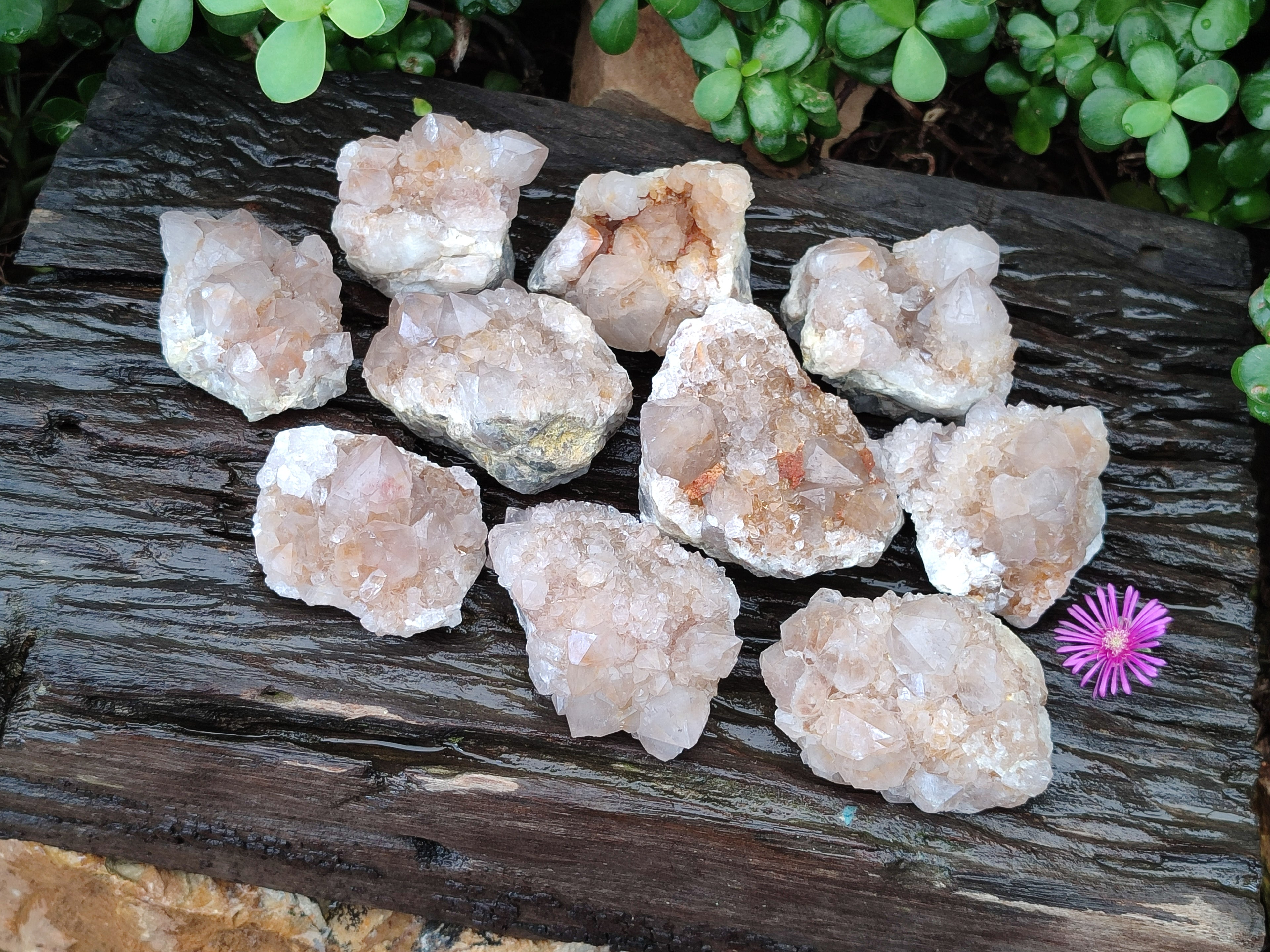 Natural Spirit Quartz Clusters x 12 From Boekenhouthoek, South Africa - Toprock Gemstones and Minerals 