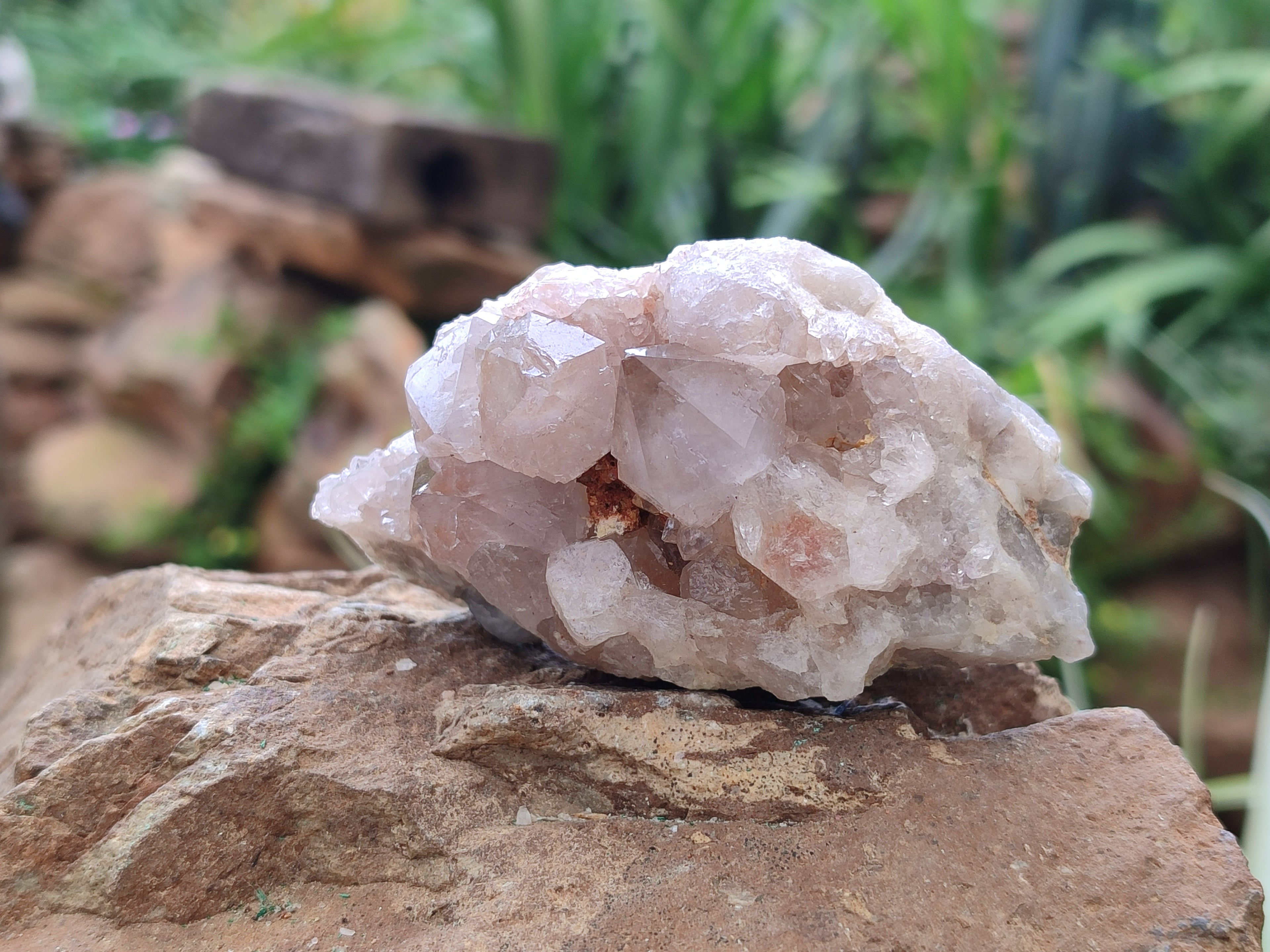 Natural Spirit Quartz Clusters x 12 From Boekenhouthoek, South Africa - Toprock Gemstones and Minerals 