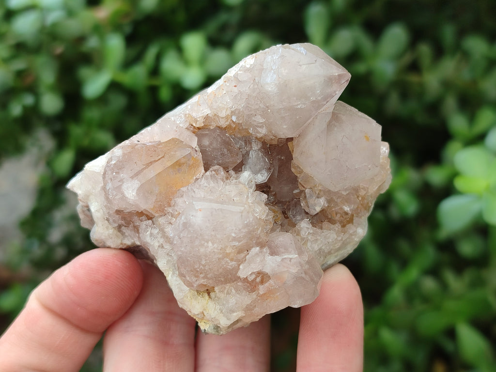 Natural Spirit Quartz Clusters x 12 From Boekenhouthoek, South Africa - Toprock Gemstones and Minerals 